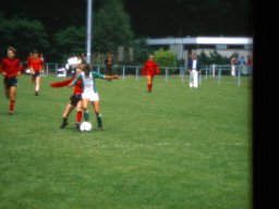 0DIA1981 RAVAKAMP EN ZEIST C1